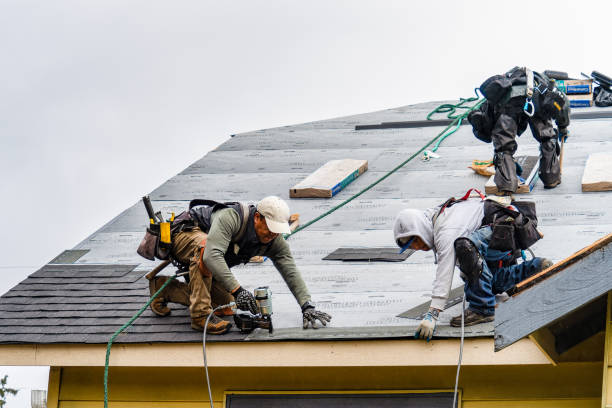 Professional Flat Roof Repair technician working in Streamwood, IL